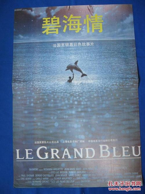 仏教大学物理学文凭证书